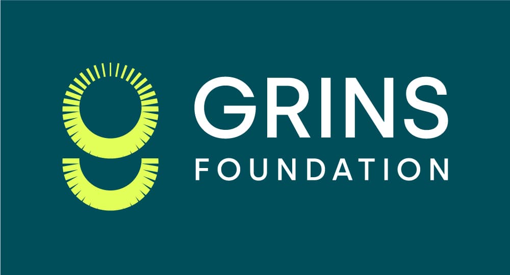 GRINS Project Logo
